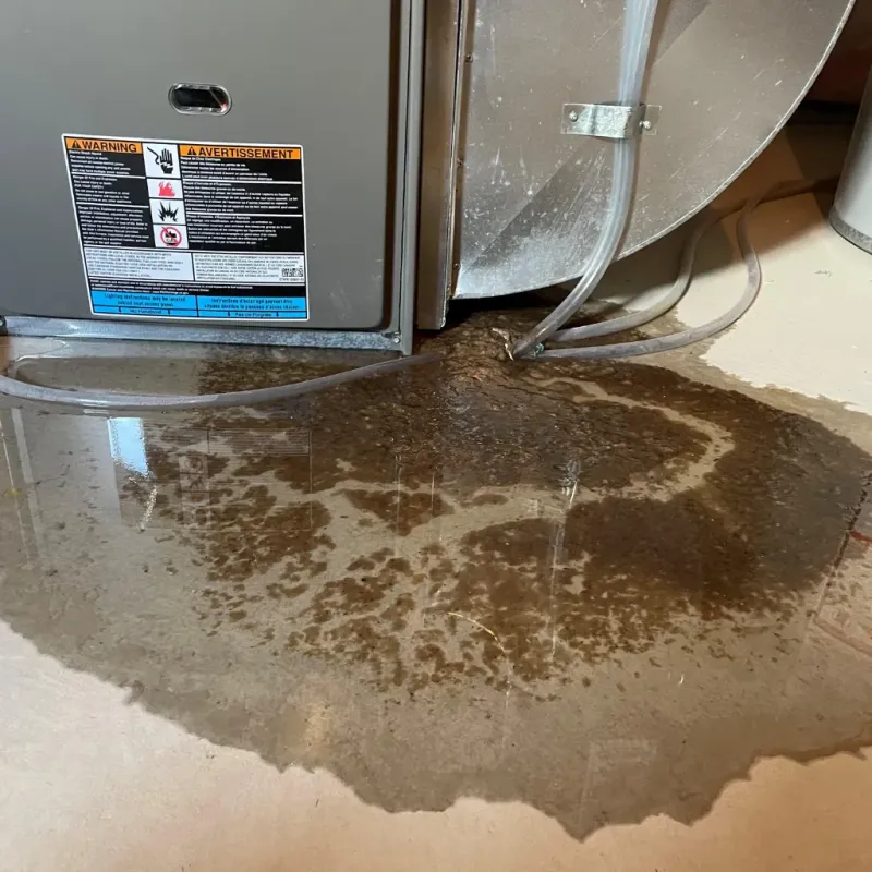 Appliance Leak Cleanup in Terrace Park, OH